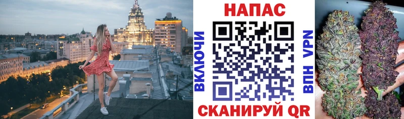 Где купить наркоту Первомайск Кокаин  СК  Меф  ГАШ  Псилоцибиновые грибы  Каннабис 