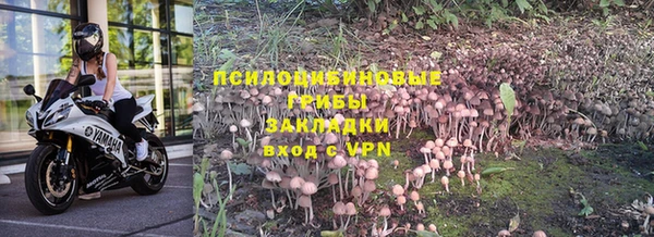 эйфоретик Баксан