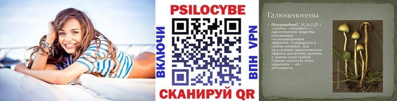 Галлюциногенные грибы Psilocybine cubensis  где можно купить   Первомайск 